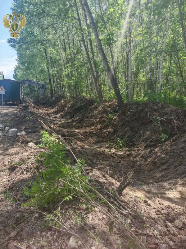 В Хабаровском крае по материалам прокурорской проверки возбуждено уголовное дело за незаконную рубку леса В Хабаровском крае по материалам прокурорской проверки возбуждено уголовное дело за незаконную рубку леса