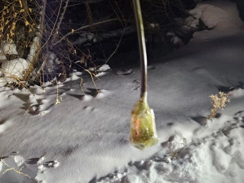 В Комсомольске-на-Амуре судом вынесен приговор по уголовному делу о покушении на незаконное распространение крупной партии синтетических наркотиков В Комсомольске-на-Амуре судом вынесен приговор по уголовному делу о покушении на незаконное распространение крупной партии синтетических наркотиков