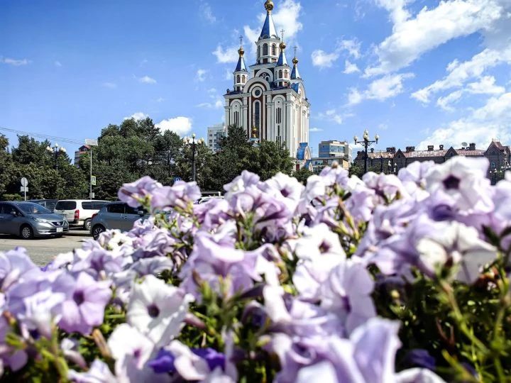 Законы августа 2026 года: что изменится в жизни хабаровчан
