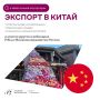 Китай – это рынок с огромными возможностями, но и высокими требованиями