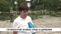 Чтобы городские деревья и кустарники выглядели ухоженно и эстетично, Горзеленстрой следит за ними круглый год