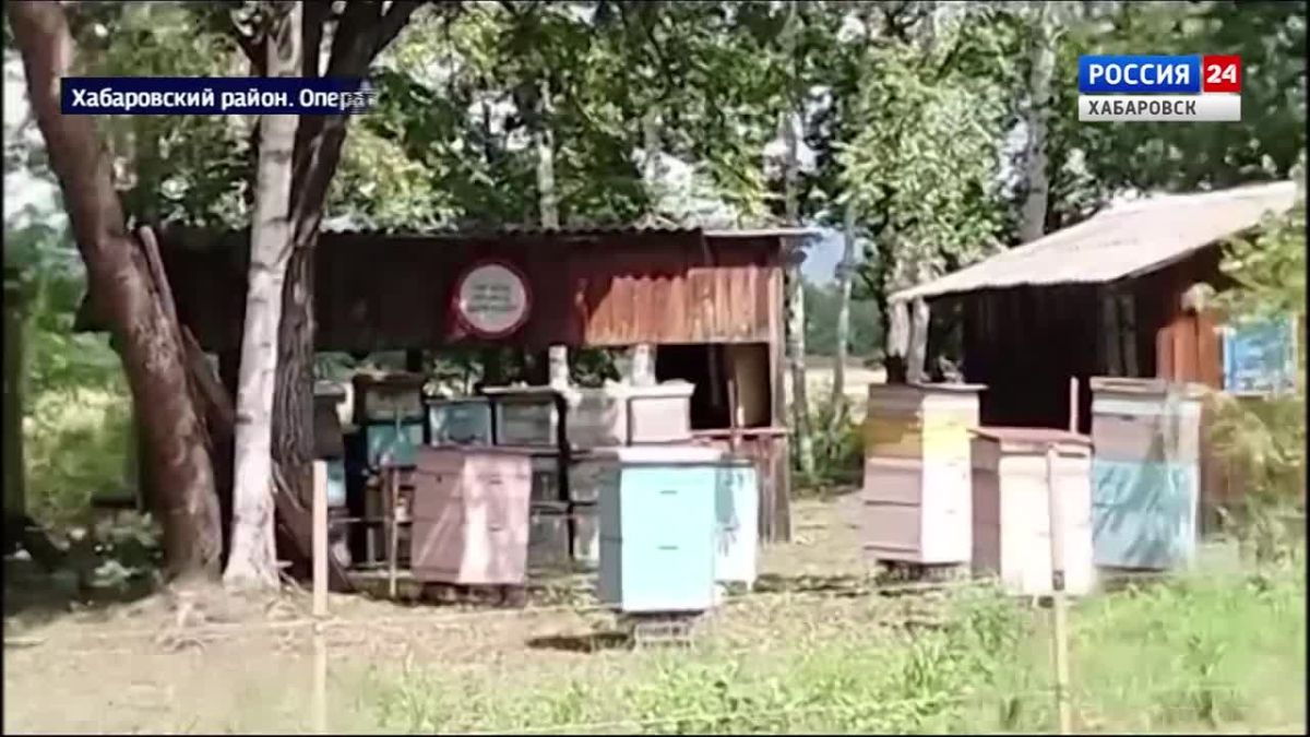 «Без коптера никуда»: цифровые «птицы» помогут заповедникам в борьбе с пожарами и браконьерами