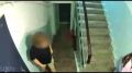 Неизвестный забежал за ребенком в квартиру в Южно-Сахалинске