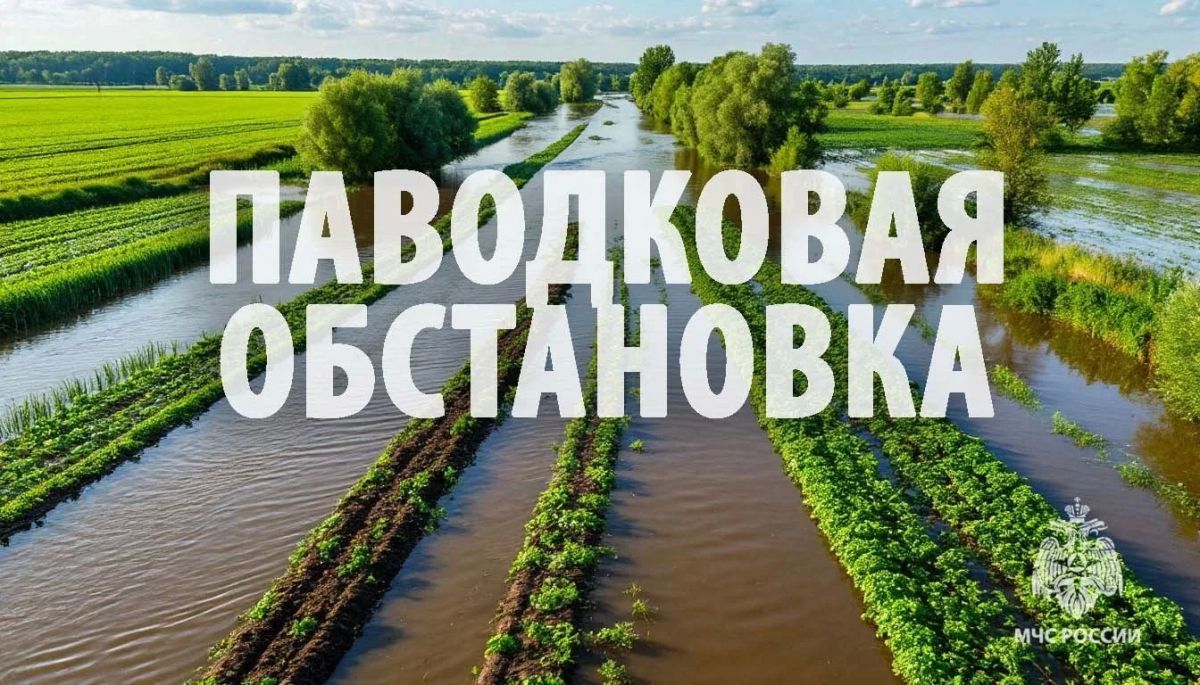 У Хабаровска и села Елабуга уровень воды в Амуре к концу недели ожидается на отметке около 5 метров