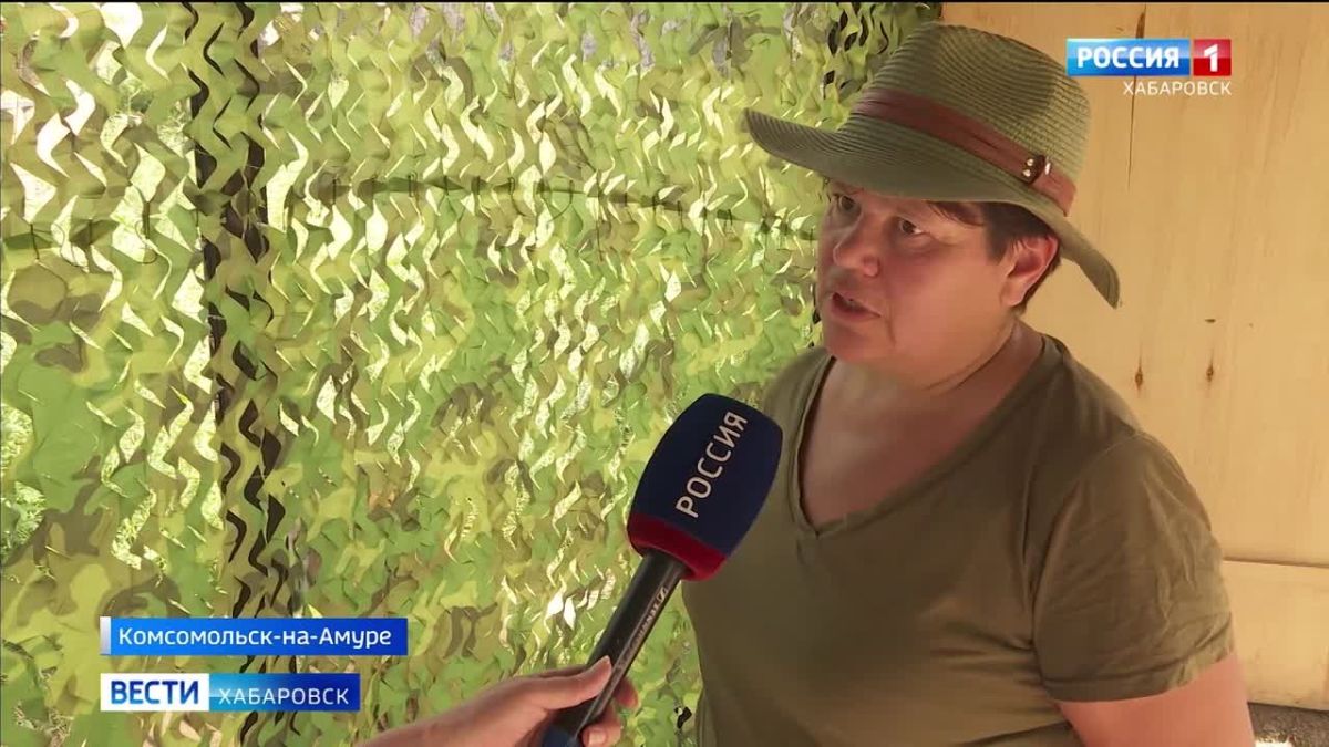 «Перестал стесняться»: тигр Бархат успешно проходит адаптацию в зоопарке Комсомольска «Сихотэ-Алинь»
