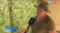 «Перестал стесняться»: тигр Бархат успешно проходит адаптацию в зоопарке Комсомольска «Сихотэ-Алинь»