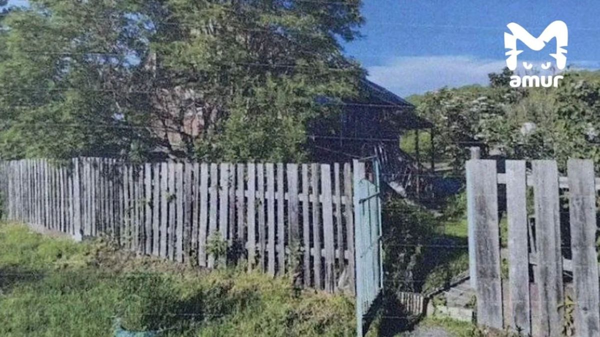 Бабушка закопала новорожденного в Хабаровском крае Бабушка закопала новорожденного в Хабаровском крае