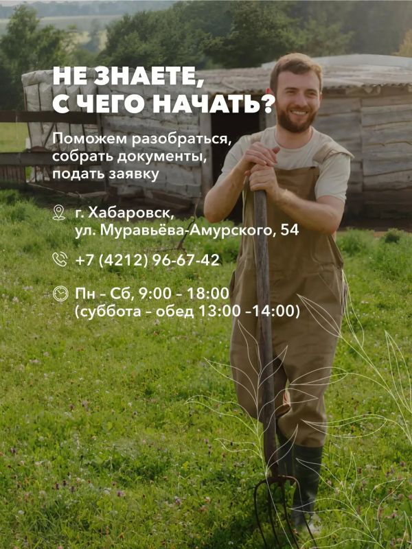 Возвращаться к мирной жизни проще, когда рядом – свои Возвращаться к мирной жизни проще, когда рядом – свои