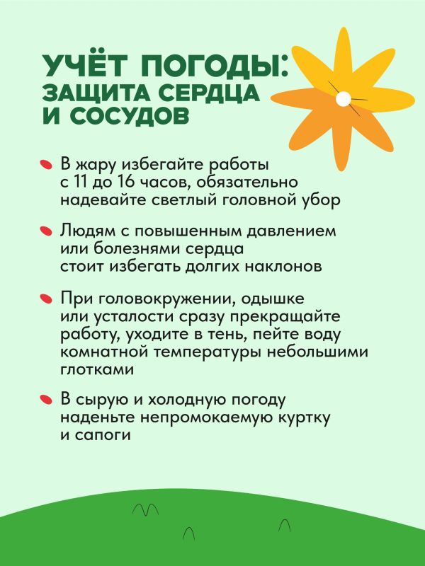Как работать на даче, не нагружая спину и сердце? Как работать на даче, не нагружая спину и сердце?
