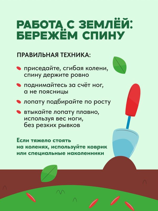 Как работать на даче, не нагружая спину и сердце? Как работать на даче, не нагружая спину и сердце?
