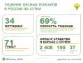 За прошедшие сутки в 16 регионах России потушили 34 лесных пожара