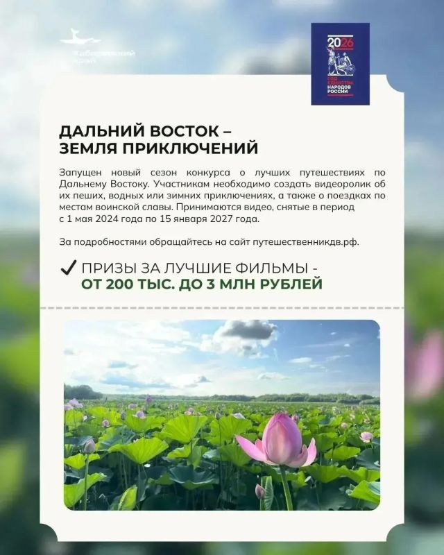 Как выиграть путёвку к китам, путешествуя по краю?