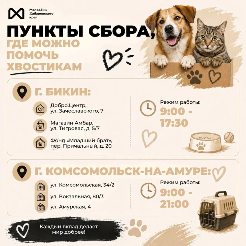 Добрые дела — это просто. В Хабаровском крае проходит сбор помощи для приютов в преддверии Всемирного дня бездомных животных Добрые дела — это просто. В Хабаровском крае проходит сбор помощи для приютов в преддверии Всемирного дня бездомных животных