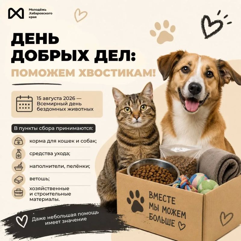Добрые дела — это просто. В Хабаровском крае проходит сбор помощи для приютов в преддверии Всемирного дня бездомных животных
