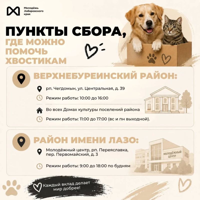 Добрые дела — это просто. В Хабаровском крае проходит сбор помощи для приютов в преддверии Всемирного дня бездомных животных Добрые дела — это просто. В Хабаровском крае проходит сбор помощи для приютов в преддверии Всемирного дня бездомных животных