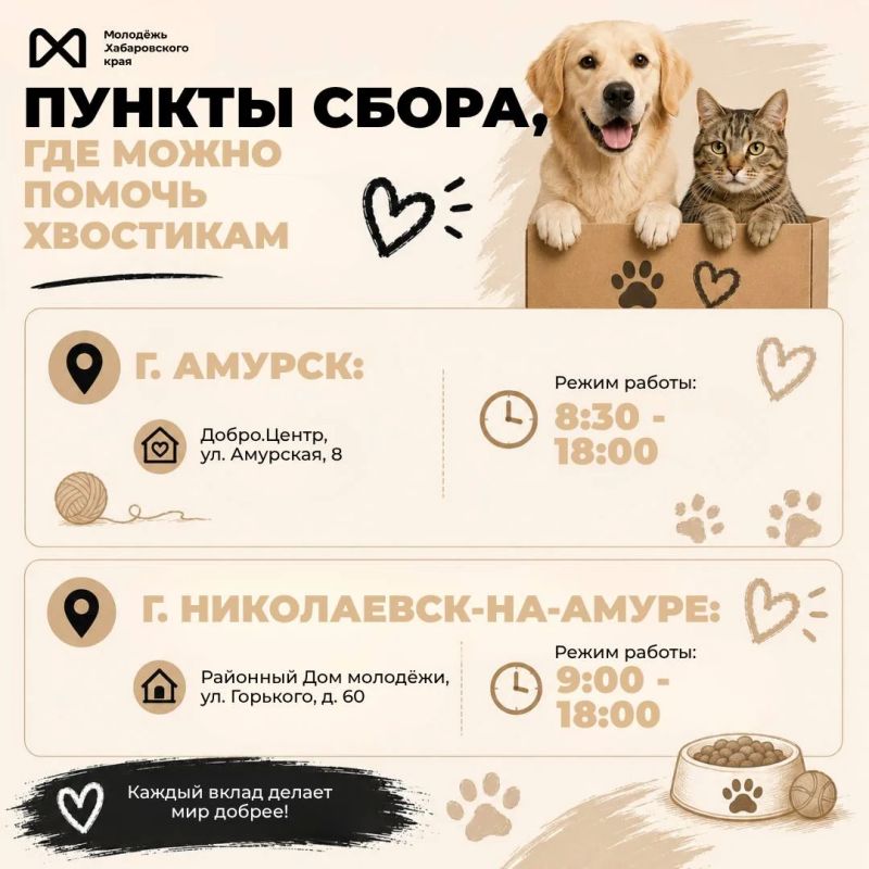 Добрые дела — это просто. В Хабаровском крае проходит сбор помощи для приютов в преддверии Всемирного дня бездомных животных Добрые дела — это просто. В Хабаровском крае проходит сбор помощи для приютов в преддверии Всемирного дня бездомных животных