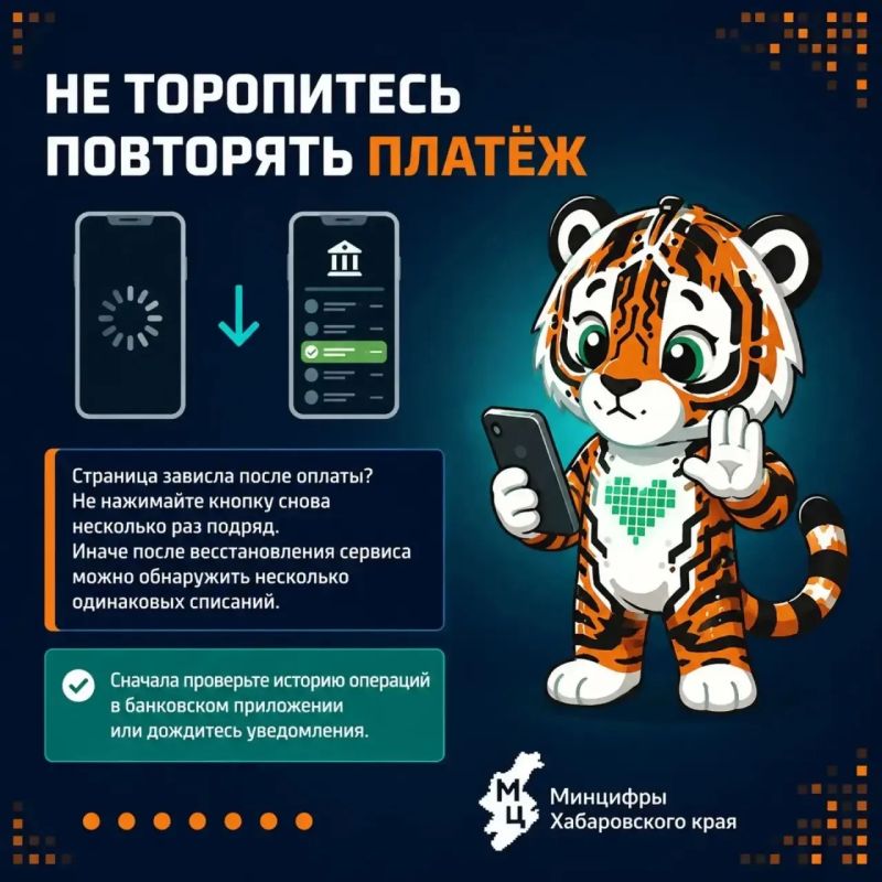 Что означает «Подключение не защищено», когда вы платите через СБП или картой «Мир»? Что означает «Подключение не защищено», когда вы платите через СБП или картой «Мир»?
