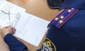 В Хабаровске генеральный директор и главный бухгалтер предприятия, совершившие покушение на мошенничество, предстанут перед судом