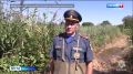 «Вода идёт и идёт»: МЧС готовится оборудовать круглосуточный дежурный пост в Корсаково 2
