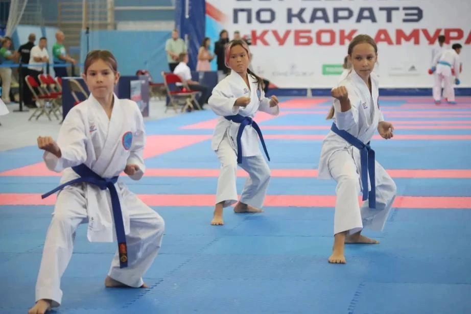 В Хабаровске стартовали первые в ДФО Всероссийские соревнования по каратэ В Хабаровске стартовали первые в ДФО Всероссийские соревнования по каратэ