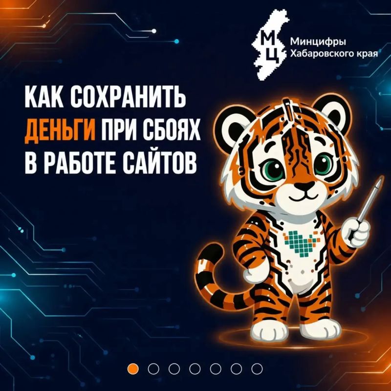 Что означает «Подключение не защищено», когда вы платите через СБП или картой «Мир»?