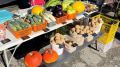 Ярмарка выходного дня в Хабаровске предложит свежие продукты по честным ценам