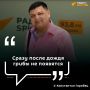 Где искать грибы в лесах Приморья?