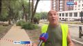 Почти четыре тысячи старых деревьев планируют убрать в этом году с улиц Хабаровска