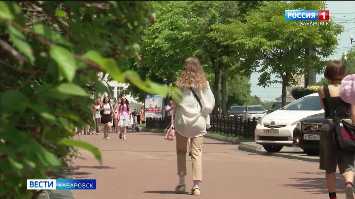 Мошенники не перестают лишать сбережений жителей края – с начала года деньги потеряли 1554 человека