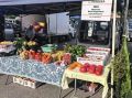 За 32 дня на сельхозярмарке в Хабаровске продали 75 тонн товаров