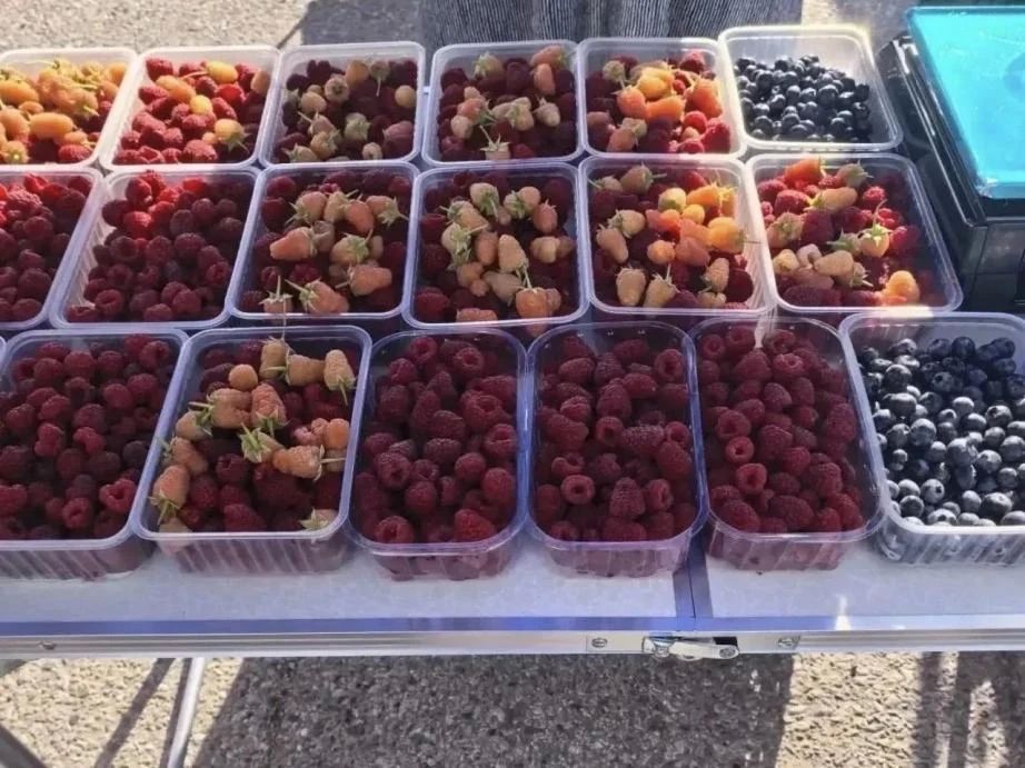 Жители приобрели уже 75 тонн свежей продукции на краевой сельскохозяйственной ярмарке выходного дня в Хабаровске Жители приобрели уже 75 тонн свежей продукции на краевой сельскохозяйственной ярмарке выходного дня в Хабаровске