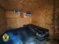 В Хабаровском крае пограничники обнаружили в лесу тайник с 312 кг красной икры