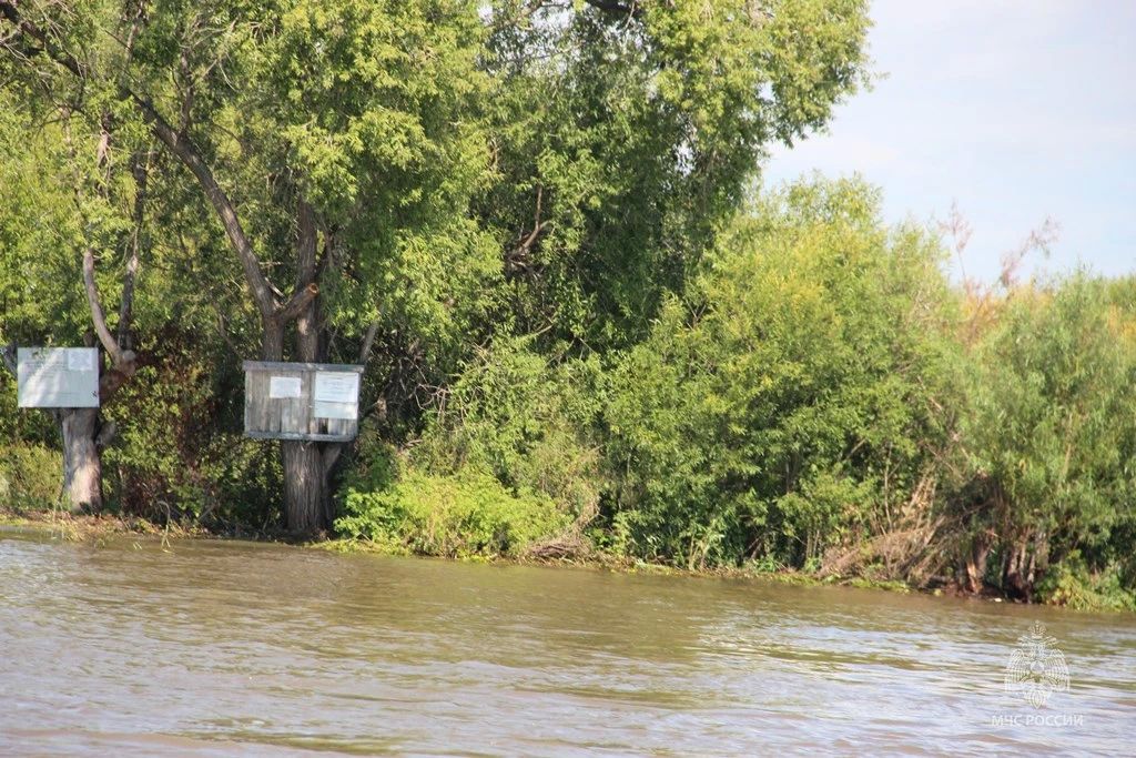 По мере смещения паводка на Амуре и Уссури в зону подтопления попадают новые участки местности По мере смещения паводка на Амуре и Уссури в зону подтопления попадают новые участки местности