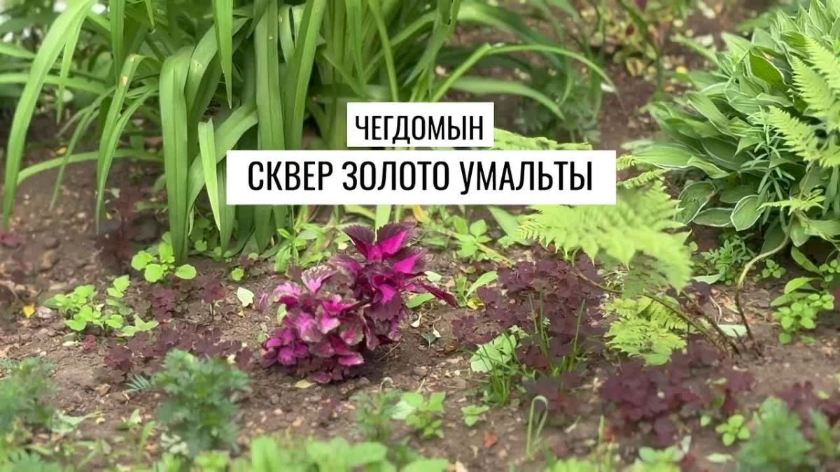 Ухоженные дворы и парки. Обновленные набережные и скверы