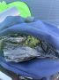 В Комсомольском районе полицейские изъяли у водителя мопеда марихуану