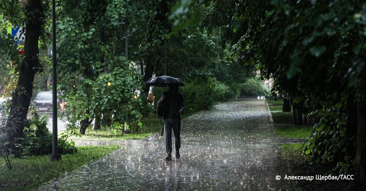 Циклон, идущий со стороны Забайкальского края и северо-востока Китая, принесет в ближайшие три дня ливни и грозы в Хабаровский, Приморский и Камчатский края, в Амурскую и Сахалинскую области, а также в Еврейскую автономную...