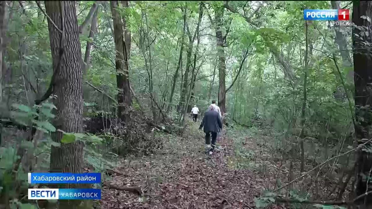 Губернатор поручил достроить эко-тропу «Легенды сэвенов» до конца года