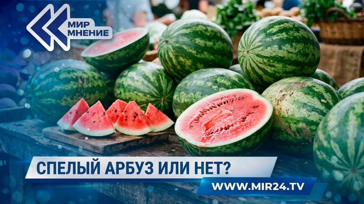 Сезон бахчевых: Как выбрать спелый арбуз?