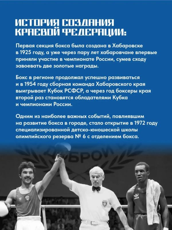 Знакомим вас с краевой федерацией бокса Знакомим вас с краевой федерацией бокса