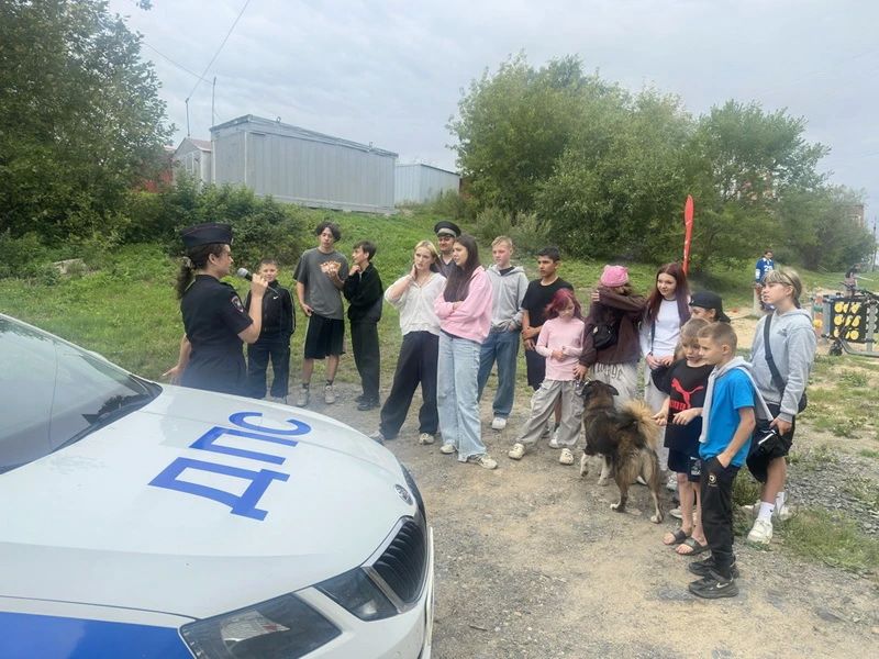 Сотрудники Госавтоинспекции Амурского района провели профилактическое мероприятие «Безопасный двор» Сотрудники Госавтоинспекции Амурского района провели профилактическое мероприятие «Безопасный двор»