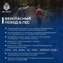 Собрался в лес, помни - это не только красиво, но и опасно!