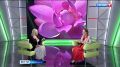 Не только лотосы: какие перспективные направления эко-туризма будут развивать в Хабаровском крае