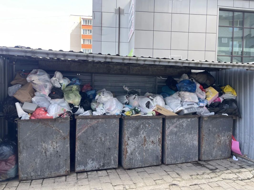 В 2025 году на одного жителя Приморского края пришлось 297 кг бытового мусора
