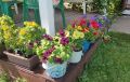 Цветочное лето: вспоминаем жаркие моменты