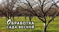�������� ����������� ����: ����� � ��� ������������ ������� � ����������