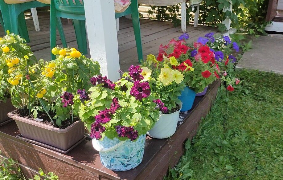 Цветочное лето: вспоминаем жаркие моменты