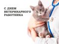 ��������� ������: �������, 31 �������, ���������� ���� ������������� ���������