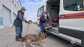 В Хабаровском районе спасатели МЧС России и сотрудники полиции ищут пропавшего 75-летнего пенсионера