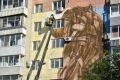 Мурал с изображением летчика-истребителя Алексея Маресьева планируют завершить к середине сентября в Комсомольске-на-Амуре