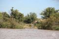 Уровень Амура у Хабаровска 7 сентября снизился на 5 см